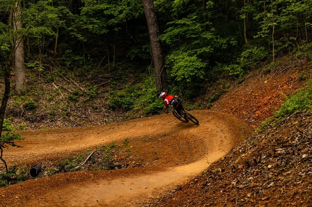 Mountain biker in red jersey navigating a forest trail with sharp turns and lush greenery.